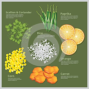 Ingredient Food Vector Illustration