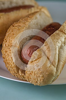 Ingredient for hotdog: bun and grilled sausage
