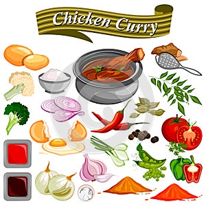 Ingredient for Indian Chicken Curry recipe with vegetable and spices