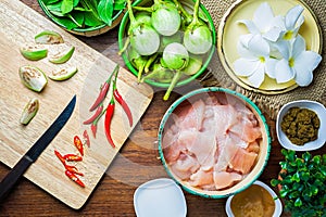 Ingredient of Thai green curry paste with chicken breast recipe