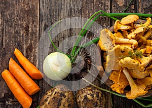 Ingredientes for vegan chanterelles mushroom soup photo