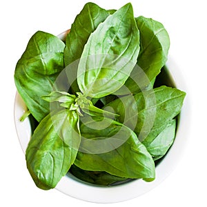 Ingredients for basil pesto preparation