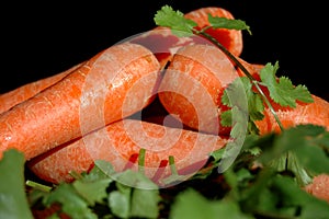 Ingredients - Carrot and Coriander