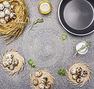 Ingredients for cooking fried quail eggs, oil and salt and herbs place for text,frame granitic rustic background top view clos