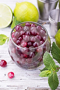 Ingredients for cranberry mojito with fresh cranberries, mint flavored, juicy lime and ice cubes seasonal Family