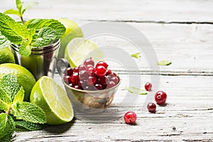 Ingredients for cranberry mojito with fresh cranberries, mint flavored, juicy lime and ice cubes seasonal Family