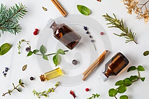 Ingredients for essential oil. Different herbs and bottles of essential oil, white background, flatlay