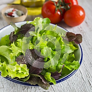 Ingredients for fresh vegetable salad - tomatoes, garden herbs