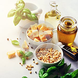 Ingredients for homemade pesto - basil, lemon, parmesan, pine nuts, garlic, olive oil and salt on white concrete