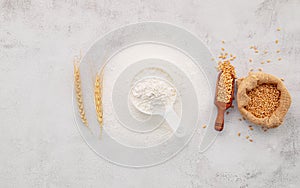 The ingredients for homemade pizza dough with wheat ears ,wheat flour and olive oil set up on white concrete background. top view