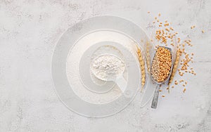 The ingredients for homemade pizza dough with wheat ears ,wheat flour and olive oil set up on white concrete background. top view