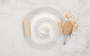 The ingredients for homemade pizza dough with wheat ears ,wheat flour and olive oil set up on white concrete background. top view