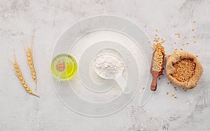 The ingredients for homemade pizza dough with wheat ears ,wheat flour and olive oil set up on white concrete background. top view