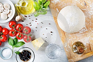 The ingredients for homemade pizza on wooden background