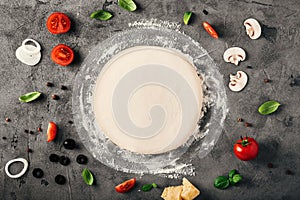 The ingredients for homemade pizza on wooden background
