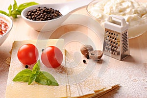 Ingredients for Italian lasagne