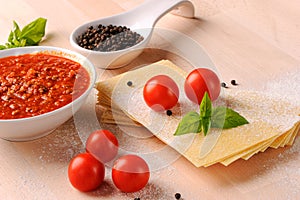 Ingredients for Italian lasagne