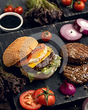 Ingredients for making burger. Delicious fast food snack. White bun with grilled meat and juicy vegetables, bright