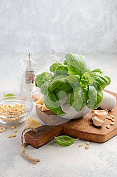 Ingredients for making green pesto sauce. Healthy Italian food.