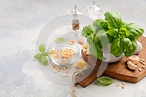 Ingredients for making green pesto sauce. Healthy Italian food.