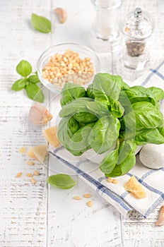 Ingredients for making green pesto sauce. Healthy Italian food.