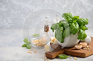 Ingredients for making green pesto sauce. Healthy Italian food.