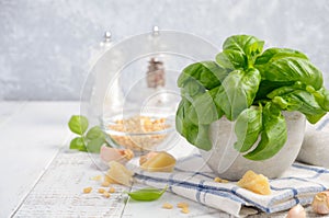 Ingredients for making green pesto sauce. Healthy Italian food.