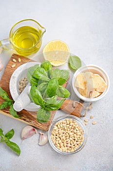 Ingredients for making green pesto sauce.