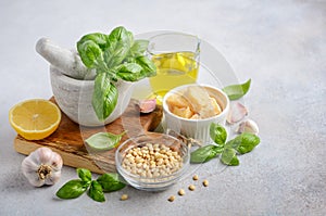 Ingredients for making green pesto sauce.