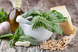 Ingredients for making pesto