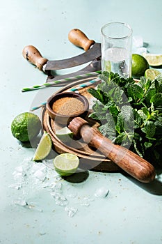 Ingredients for mojito