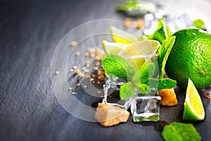 Ingredients of mojito cocktail