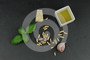 Ingredients for pesto sauce