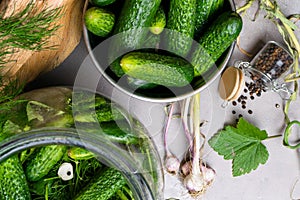 Ingredients for preservation on grey table-cucumbers, garlic, dill seed, pepper, seasonings and spices