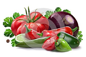 Ingredients for salsa cruda sauce, clipping paths photo