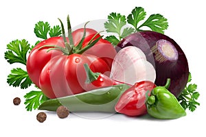 Ingredients for salsa roja sauce, clipping paths photo