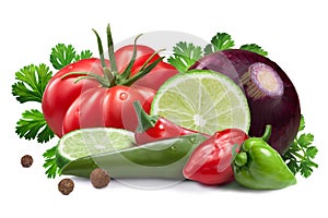 Ingredients for salsa roja sauce, clipping paths photo