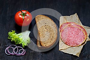 Ingredients for sandwich: bread, tomato, salami, salad, onion