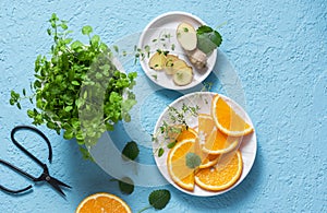 Ingredients for summer cold drink - orange slices, ginger, mint. Lemonade ingredients on blue background