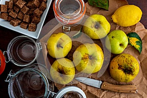 Ingredients to make jam and applesauce yellow, reinetas. photo