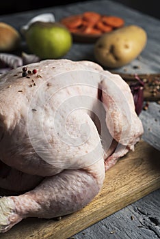 Ingredients to prepare a stuffed turkey