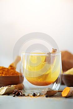 Ingredients for turmeric hot tea on grey background. Healthy ayurvedic drink with lemon, ginger, cinnamon, turmeric. Immune