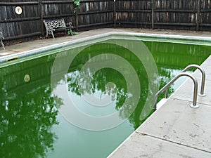 Inground pool green algae water