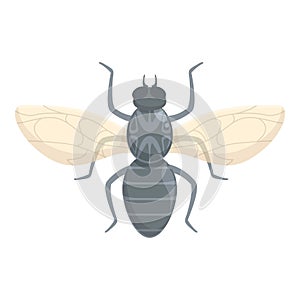 Inhabit tsetse fly icon cartoon vector. Animal mosquito