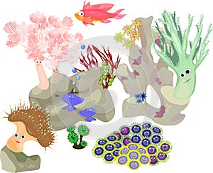 Inhabitants of marine aquarium