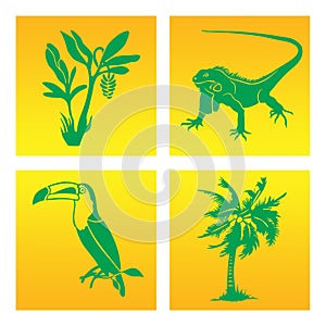 The inhabitants of the rainforest in the graphic symbols.