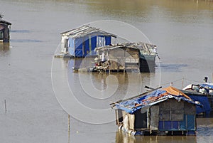 The inhabitants of the river