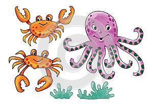 Inhabitants of the sea ocean octopus crab algae drawing