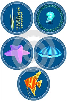 The inhabitants of the sea.A set of illustrations.