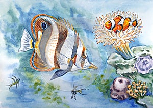 Inhabitants of the seabed watercolor illustration.